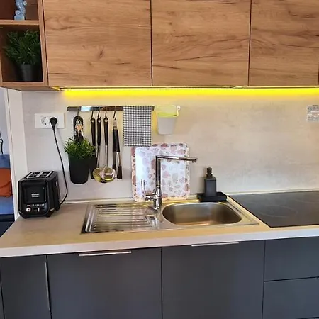 公寓 Mobile Kmz 塞尔瑟